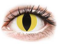 ColourVUE Crazy Lens - Cat Eye - non correttive (2 lenti) Lenti a contatto Maxvue Vision - ColourVUE Crazy Lens - Cat Eye - non correttive (2 lenti)