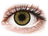 SofLens Natural Colors Dark Hazel - correttive (2 lenti) Lenti a contatto nocciola - correttive - SofLens Natural Colors Dark Hazel - correttive (2 lenti)